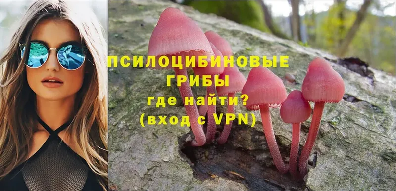 OMG   цены наркотик  Кирс  Псилоцибиновые грибы Magic Shrooms 